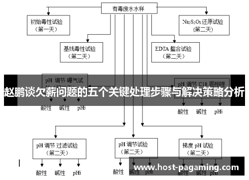 赵鹏谈欠薪问题的五个关键处理步骤与解决策略分析