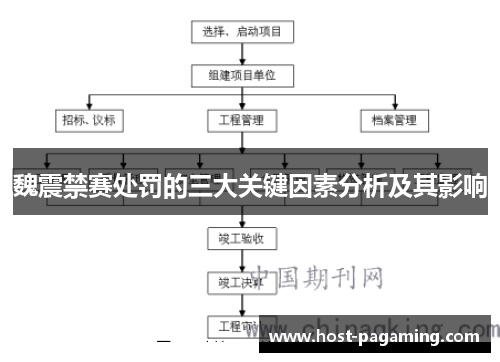 魏震禁赛处罚的三大关键因素分析及其影响 魏震禁赛处罚的三大关键因素分析及其影响