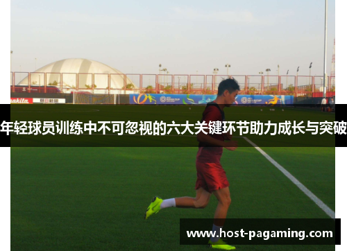 年轻球员训练中不可忽视的六大关键环节助力成长与突破