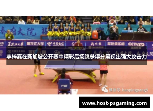 李梓嘉在新加坡公开赛中精彩后场跳杀得分展现出强大攻击力 李梓嘉在新加坡公开赛中精彩后场跳杀得分展现出强大攻击力