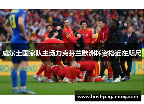 威尔士国家队主场力克芬兰欧洲杯资格近在咫尺