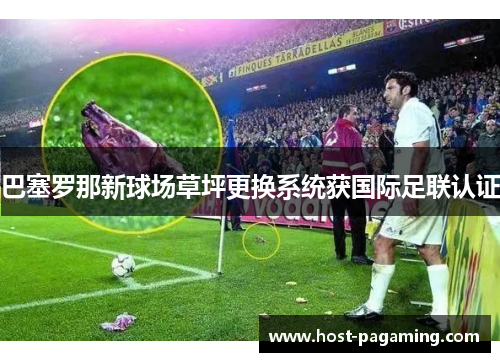巴塞罗那新球场草坪更换系统获国际足联认证