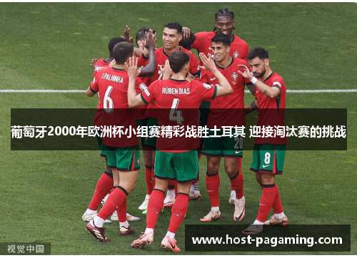 葡萄牙2000年欧洲杯小组赛精彩战胜土耳其 迎接淘汰赛的挑战 葡萄牙2000年欧洲杯小组赛精彩战胜土耳其 迎接淘汰赛的挑战